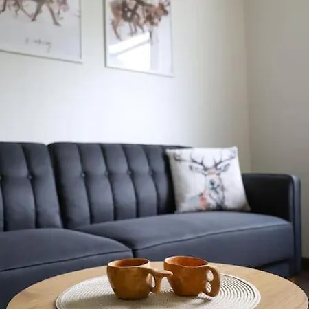 Apartman Centre Rovaniemi